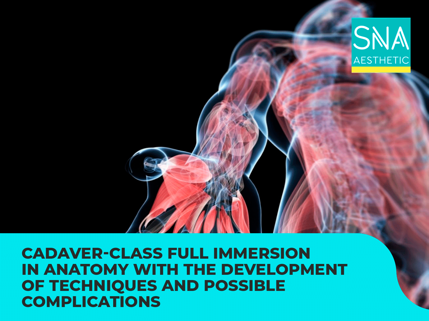 CADAVER-CLASS Full immersion in anatomy with the development of techniques and possible complications