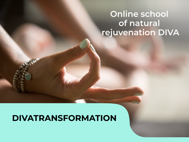 DIVAtransformation light